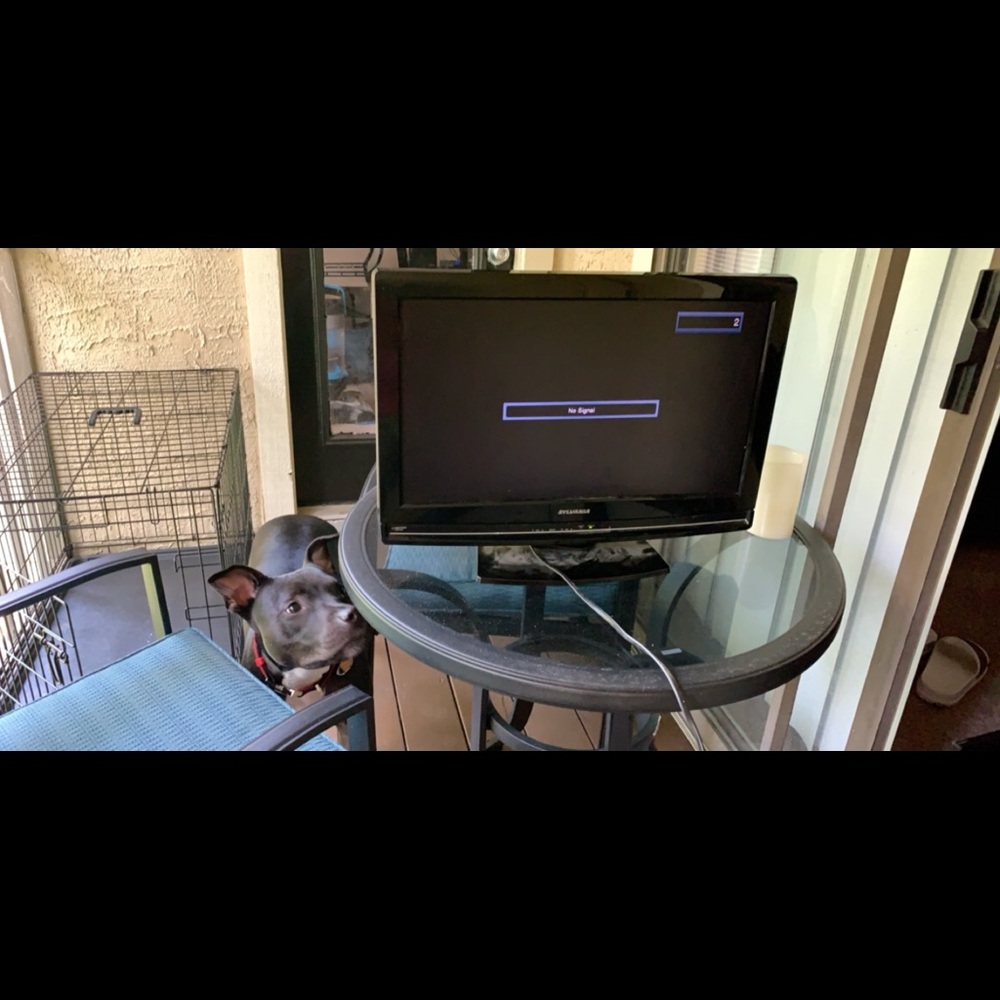 24 inch tv